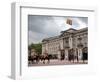 Household Cavalry at 2012 Trooping Colour Ceremony at Buckingham Palace, London, England-Adina Tovy-Framed Photographic Print