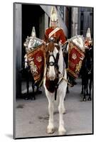 Household Cavalry Blues & Royals Drum horse-Associated Newspapers-Mounted Photo