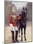 Household Cavalry Captain, 2nd Life Guards, from 'South Africa and the Transvaal War'-Louis Creswicke-Mounted Giclee Print