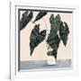 Houseplant II-null-Framed Art Print