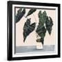 Houseplant II-null-Framed Art Print