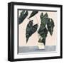 Houseplant II-null-Framed Art Print