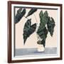 Houseplant II-null-Framed Art Print