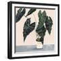 Houseplant II-null-Framed Art Print