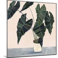 Houseplant II-null-Mounted Art Print