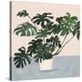Houseplant III-null-Stretched Canvas