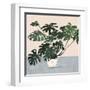 Houseplant III-null-Framed Art Print