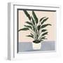 Houseplant IV-null-Framed Art Print