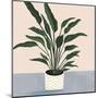 Houseplant IV-null-Mounted Art Print