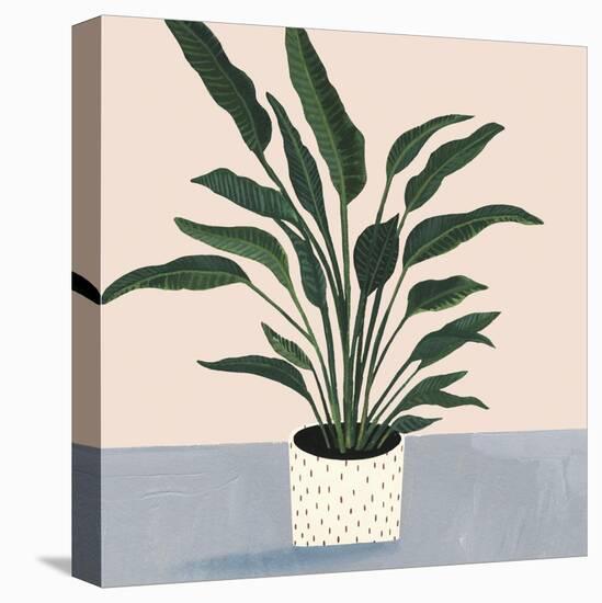 Houseplant IV-null-Stretched Canvas