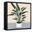 Houseplant IV-null-Framed Stretched Canvas