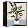 Houseplant IV-null-Framed Stretched Canvas