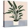 Houseplant IV-null-Stretched Canvas