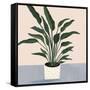 Houseplant IV-null-Framed Stretched Canvas