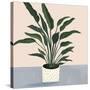 Houseplant IV-null-Stretched Canvas