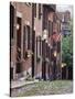 Houses Along Acorn Street, Boston, Massachusetts, USA-Walter Bibikow-Stretched Canvas