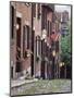 Houses Along Acorn Street, Boston, Massachusetts, USA-Walter Bibikow-Mounted Photographic Print