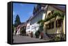 Houses Along the Cobbled Street in Rhodt Unter Rietburg-James Emmerson-Framed Stretched Canvas