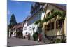 Houses Along the Cobbled Street in Rhodt Unter Rietburg-James Emmerson-Mounted Photographic Print