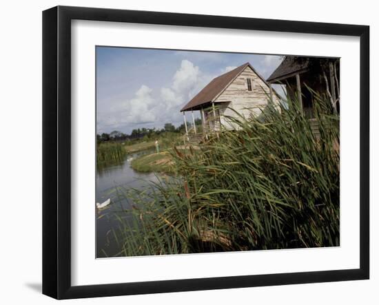 Houses Along the Louisiana Bayou are Seen-null-Framed Premium Photographic Print