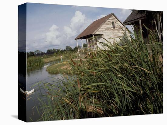 Houses Along the Louisiana Bayou are Seen-null-Stretched Canvas