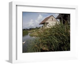 Houses Along the Louisiana Bayou are Seen-null-Framed Photographic Print