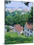 Houses Amid Trees and City Skyline in the Background, of Birmingham, Alabama, USA-Robert Francis-Mounted Photographic Print