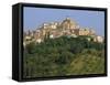 Houses and Church of an Ancient Wine Town on a Hill at Loreto Aprutino in Abruzzi, Italy, Europe-Newton Michael-Framed Stretched Canvas