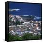 Houses and Coastline in the Town of Santa Cruz on the Island of Graciosa in the Azores, Portugal-David Lomax-Framed Stretched Canvas