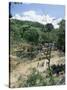 Houses and People Walking in Dry River Bed Caused by Erosion, Near Petionville, Haiti, West Indies-Lousie Murray-Stretched Canvas