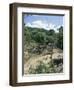 Houses and People Walking in Dry River Bed Caused by Erosion, Near Petionville, Haiti, West Indies-Lousie Murray-Framed Photographic Print