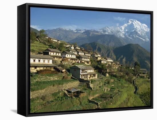 Houses and Terraced Fields at Gurung Village, Ghandrung, with Annapurna South, Himalayas, Nepal-Waltham Tony-Framed Stretched Canvas