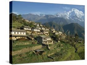 Houses and Terraced Fields at Gurung Village, Ghandrung, with Annapurna South, Himalayas, Nepal-Waltham Tony-Stretched Canvas