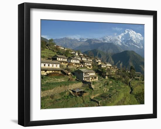 Houses and Terraced Fields at Gurung Village, Ghandrung, with Annapurna South, Himalayas, Nepal-Waltham Tony-Framed Photographic Print