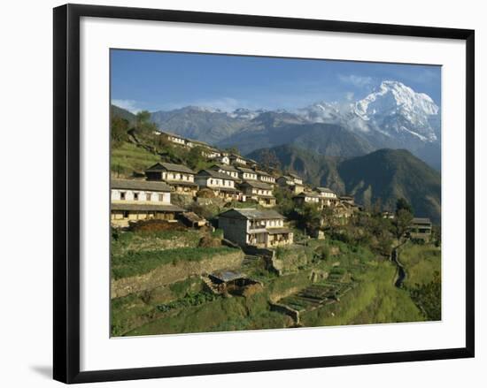 Houses and Terraced Fields at Gurung Village, Ghandrung, with Annapurna South, Himalayas, Nepal-Waltham Tony-Framed Photographic Print