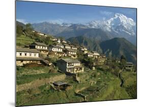 Houses and Terraced Fields at Gurung Village, Ghandrung, with Annapurna South, Himalayas, Nepal-Waltham Tony-Mounted Photographic Print