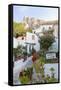 Houses Below Acropolis, Athens, Greece-Peter Adams-Framed Stretched Canvas
