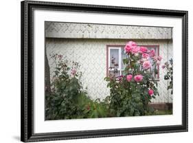 Houses Built of Wooden Tiles, Island of Chiloe, Chile-Peter Groenendijk-Framed Photographic Print