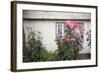 Houses Built of Wooden Tiles, Island of Chiloe, Chile-Peter Groenendijk-Framed Photographic Print