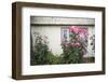 Houses Built of Wooden Tiles, Island of Chiloe, Chile-Peter Groenendijk-Framed Photographic Print