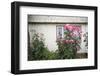 Houses Built of Wooden Tiles, Island of Chiloe, Chile-Peter Groenendijk-Framed Photographic Print