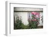 Houses Built of Wooden Tiles, Island of Chiloe, Chile-Peter Groenendijk-Framed Photographic Print