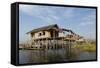 Houses Built on Stilts in the Village of Nampan on the Edge of Inle Lake-Lee Frost-Framed Stretched Canvas