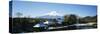 Houses in Front of a Mountain, Mt Fuji, Honshu, Japan-null-Stretched Canvas