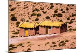 Houses in Machuca, Atacama Desert, Chile and Bolivia-Françoise Gaujour-Mounted Photographic Print