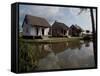 Houses in the Bayou Country of Louisiana-null-Framed Stretched Canvas