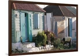 Houses in the Old Colonial Quarter, St. John's, Antigua, Leeward Islands-Bruno Barbier-Framed Photographic Print