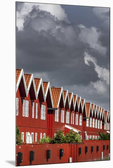Houses in the yacht harbour of Ebeltoft, Denmark-By-Mounted Premium Photographic Print