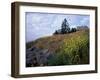 Houses, Maine, USA-Jerry & Marcy Monkman-Framed Photographic Print