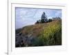 Houses, Maine, USA-Jerry & Marcy Monkman-Framed Photographic Print